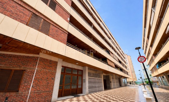 Leilighet / leilighet - Brukt bolig - Torrevieja - Torrevieja Centro