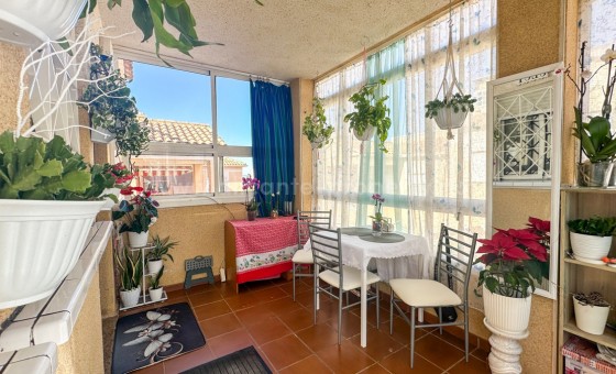 Leilighet / leilighet - Brukt bolig - Torrevieja - Torrevieja Centro