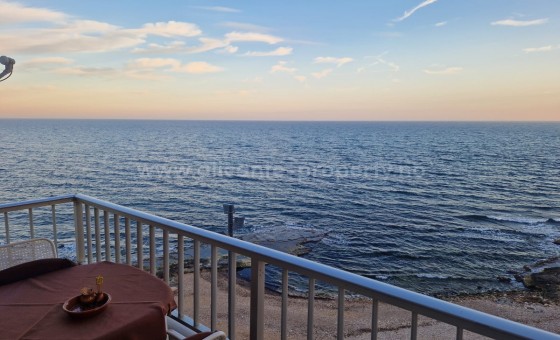 Leilighet / leilighet - Brukt bolig - Torrevieja - Torrevieja Centro