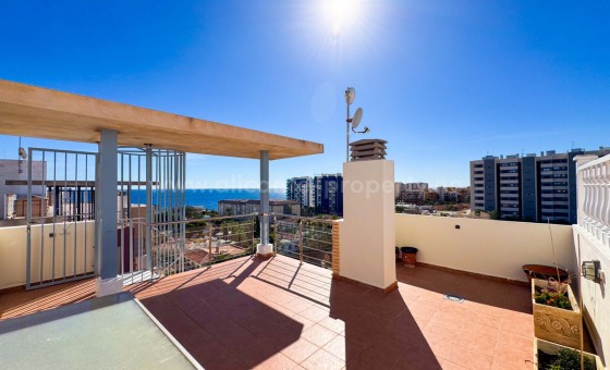Leilighet / leilighet - Brukt bolig - Torrevieja - Torrevieja Centro