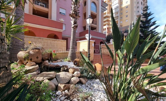 Leilighet / leilighet - Brukt bolig - Torrevieja - Torrevieja Centro