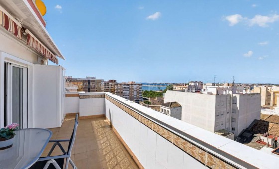 Leilighet / leilighet - Brukt bolig - Torrevieja - Torrevieja Centro