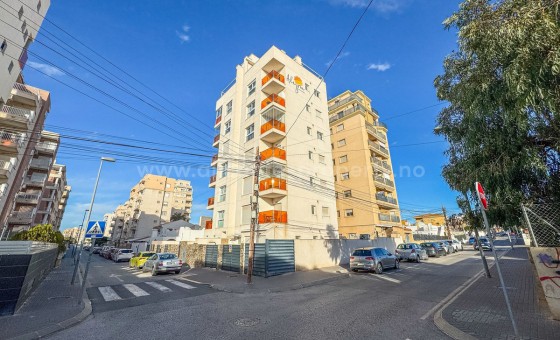 Leilighet / leilighet - Brukt bolig - Torrevieja - Torrevieja Centro