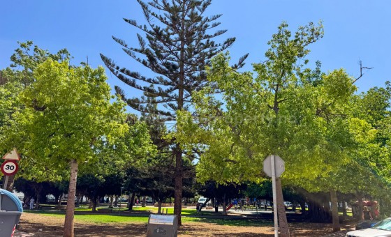 Leilighet / leilighet - Brukt bolig - Torrevieja - Torrevieja Centro