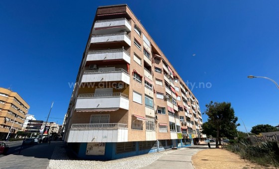Leilighet / leilighet - Brukt bolig - Torrevieja - Torrevieja Centro