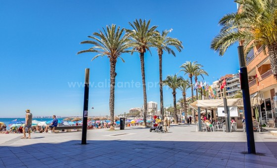 Leilighet / leilighet - Brukt bolig - Torrevieja - Torrevieja Centro