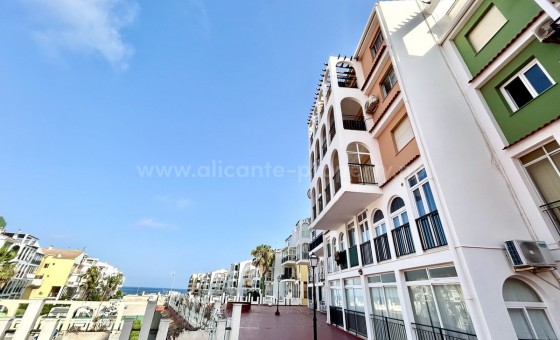 Leilighet / leilighet - Brukt bolig - Torrevieja - Torrevieja Centro