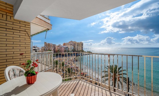 Leilighet / leilighet - Brukt bolig - Torrevieja - Torrevieja Centro