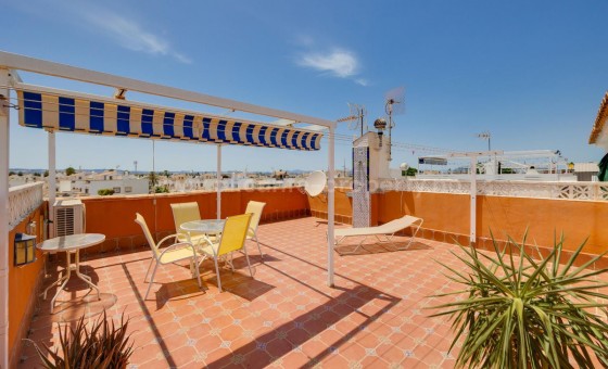 Leilighet / leilighet - Brukt bolig - Torrevieja - Torrevieja Centro