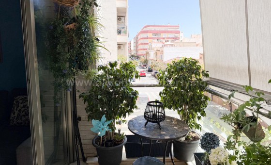Leilighet / leilighet - Brukt bolig - Torrevieja - Torrevieja Centro