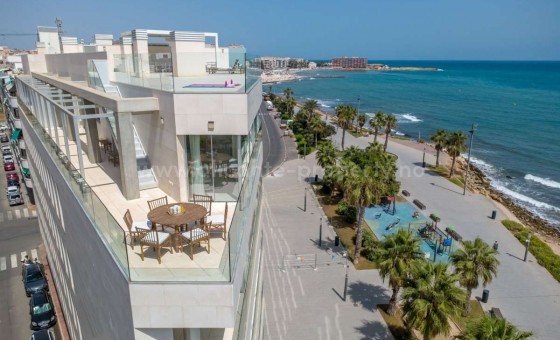 Leilighet / leilighet - Brukt bolig - Torrevieja - Torrevieja Centro