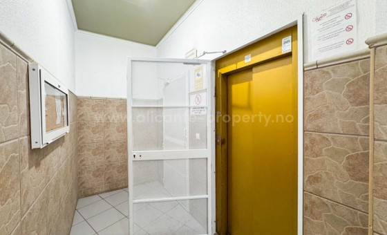 Leilighet / leilighet - Brukt bolig - Torrevieja - Torrevieja