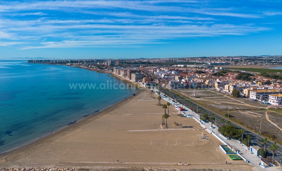 Leilighet / leilighet - Brukt bolig - Torrevieja - Torrevieja