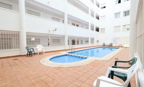 Leilighet / leilighet - Brukt bolig - Torrevieja -
                Torrevieja