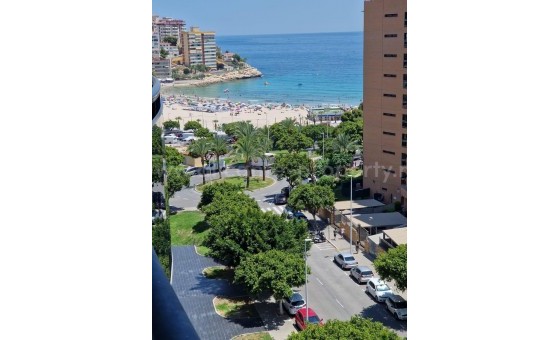 Leilighet / leilighet - Brukt bolig - Villajoyosa -
                Villajoyosa Centro