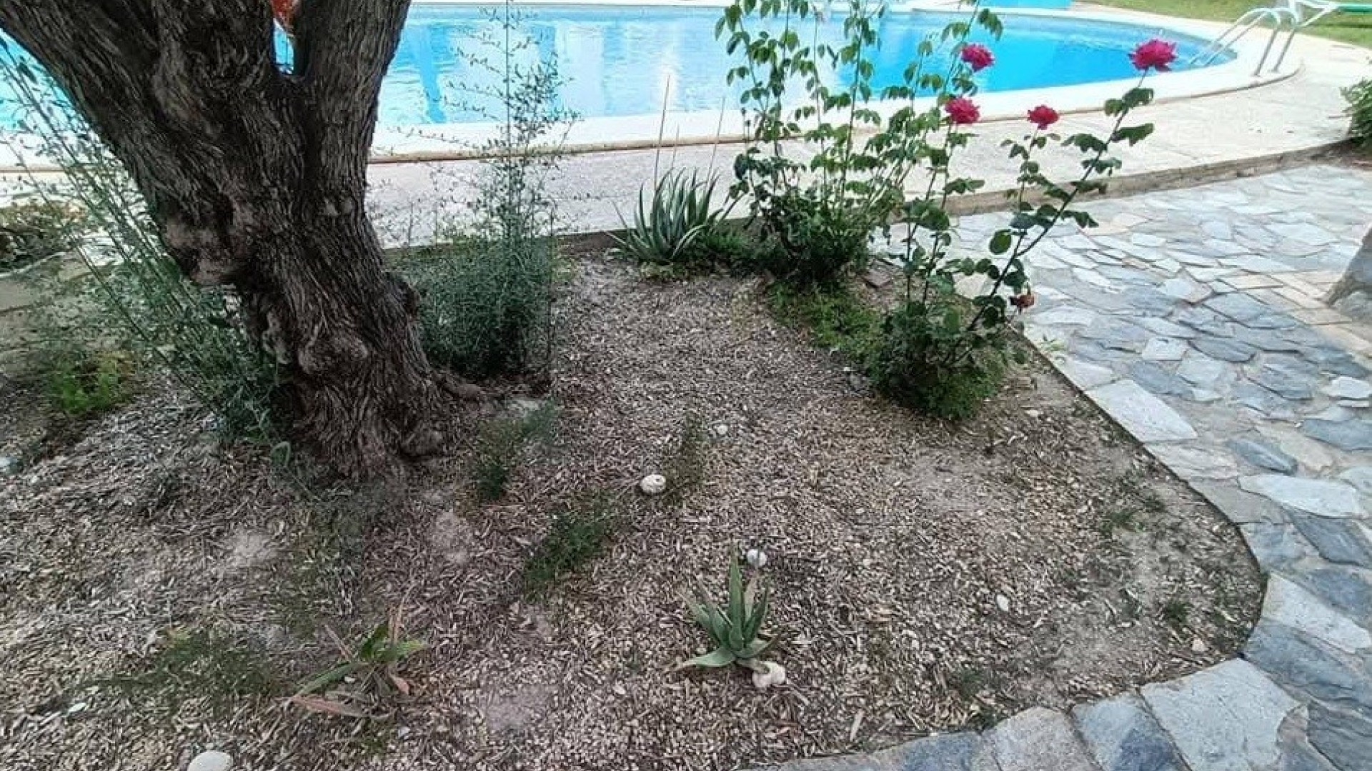 Leilighet / leilighet i Albir