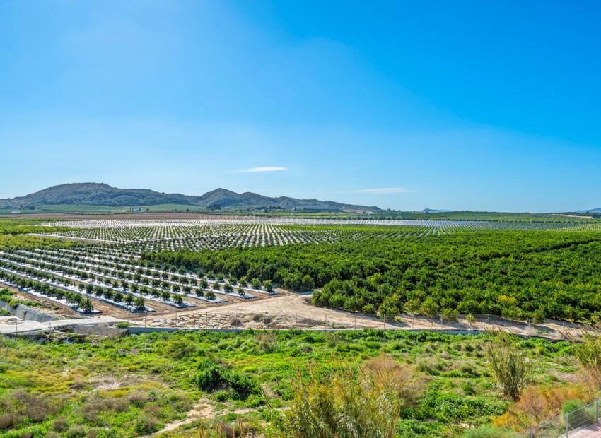 Leilighet / leilighet i Algorfa Centro