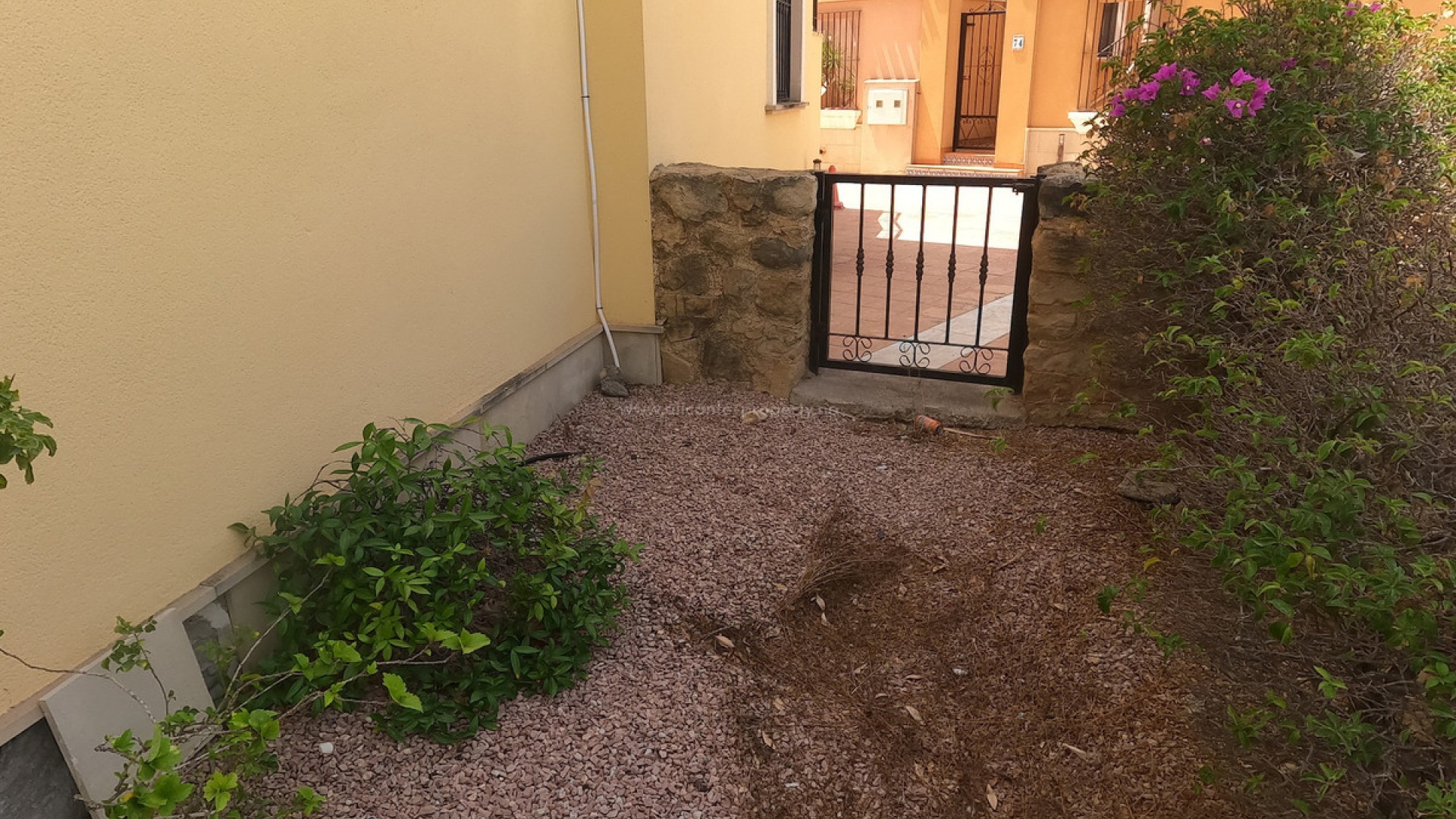 Leilighet / leilighet i Algorfa Centro