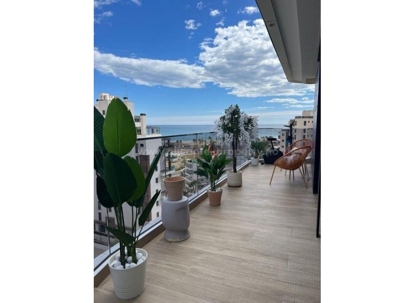 Leilighet / leilighet i Alicante Centro