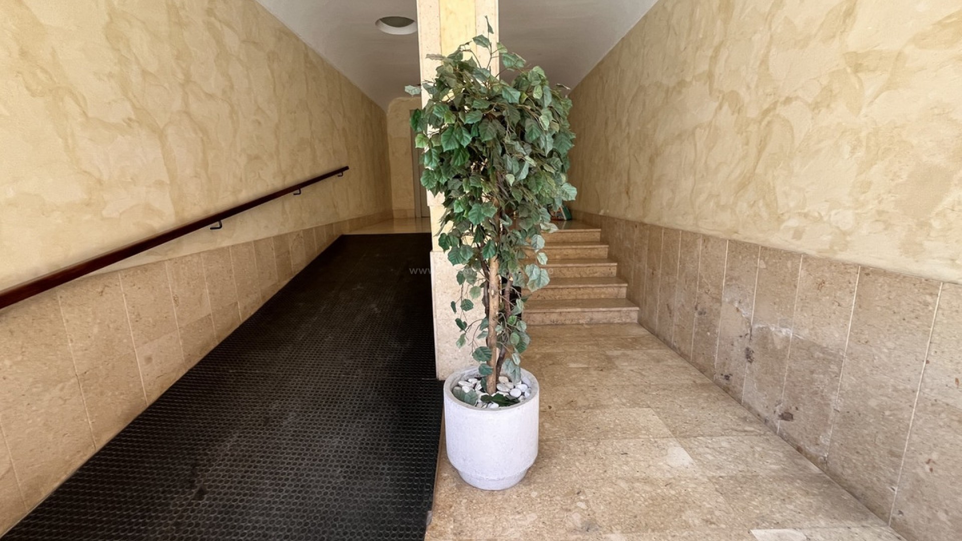 Leilighet / leilighet i Almoradi Centro