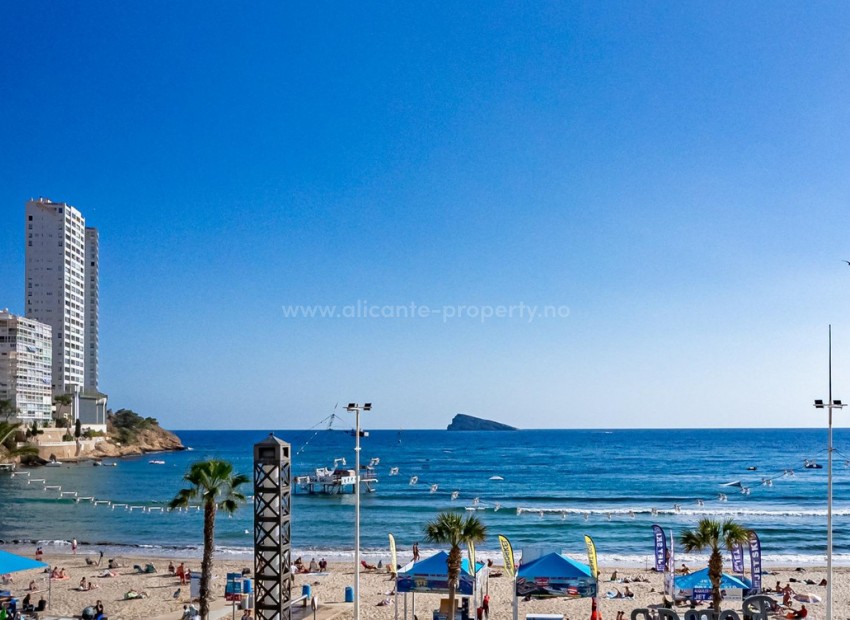 Leilighet / leilighet i Benidorm Centro