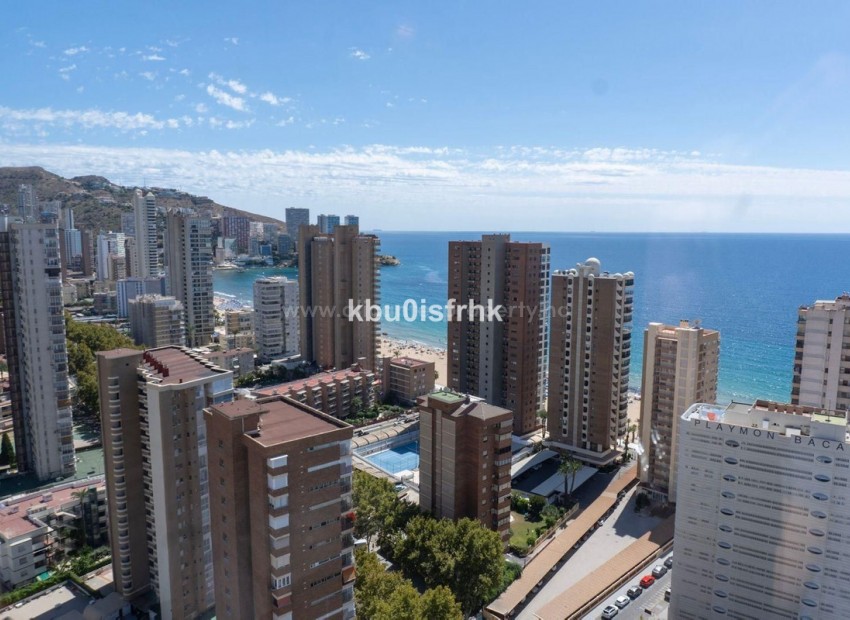 Leilighet / leilighet i Benidorm Centro