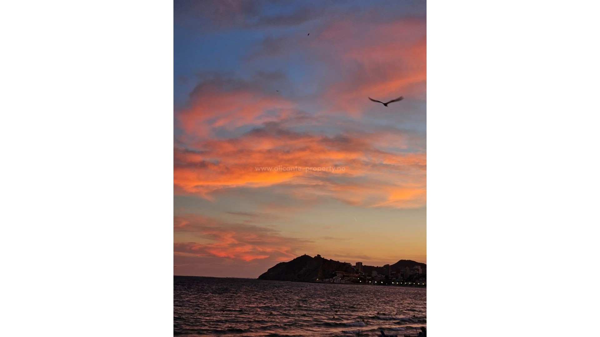 Leilighet / leilighet i Benidorm Centro