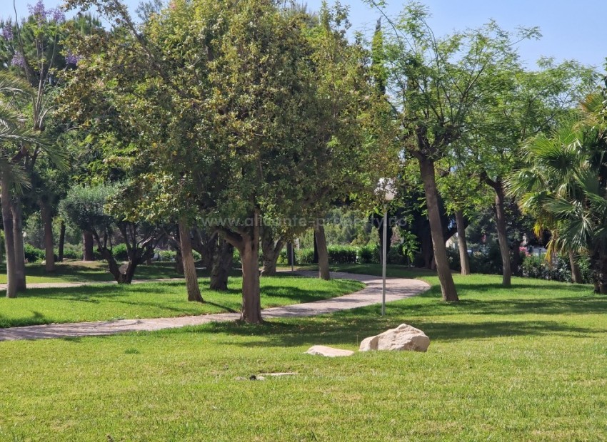 Leilighet / leilighet i Benidorm Centro