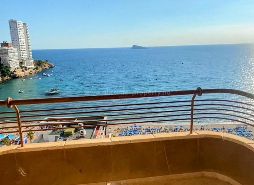 Leilighet / leilighet i Benidorm Centro