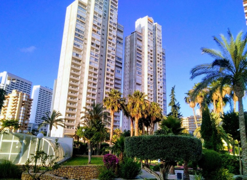 Leilighet / leilighet i Benidorm Centro