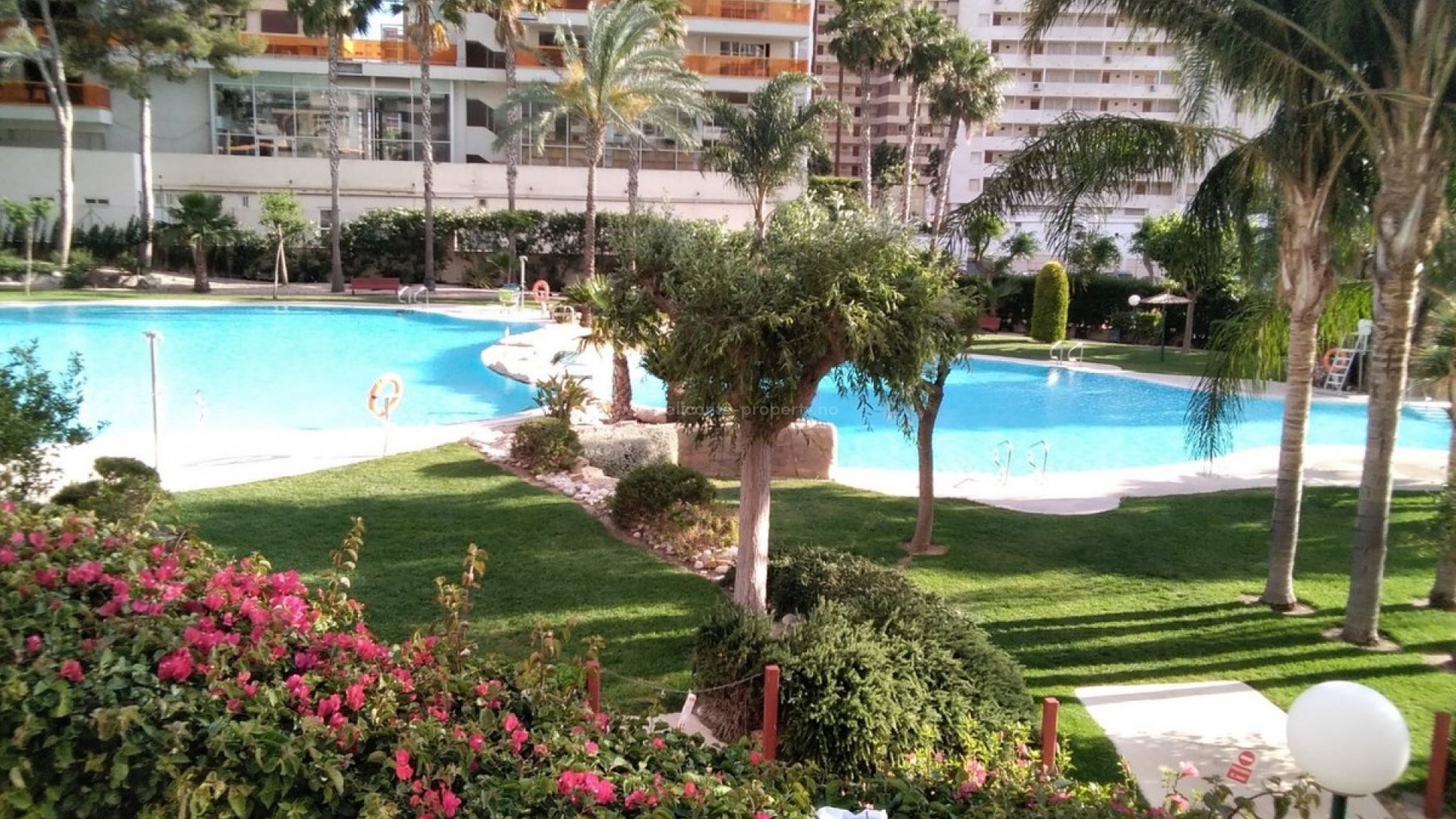 Leilighet / leilighet i Benidorm Centro