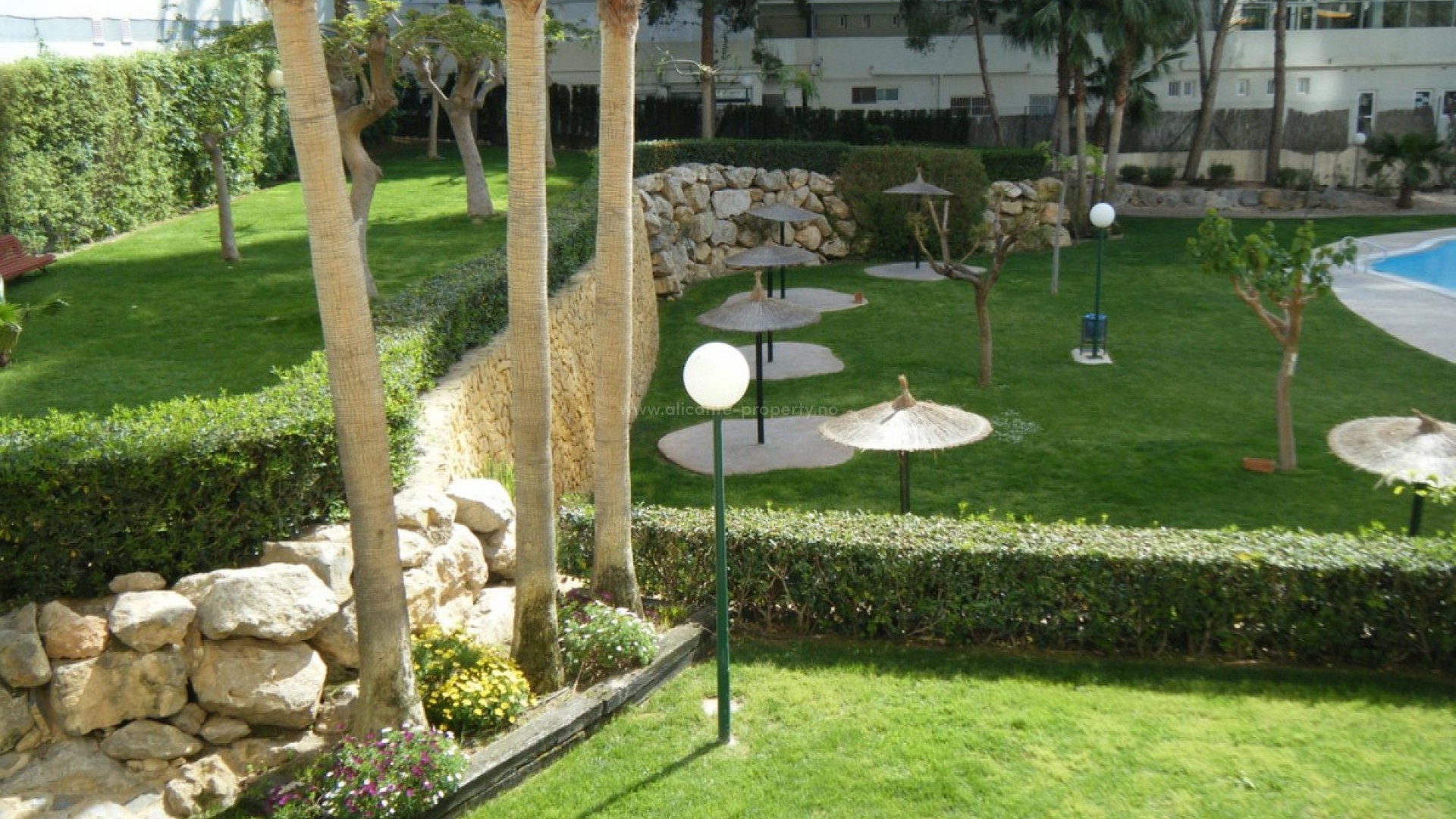 Leilighet / leilighet i Benidorm Centro