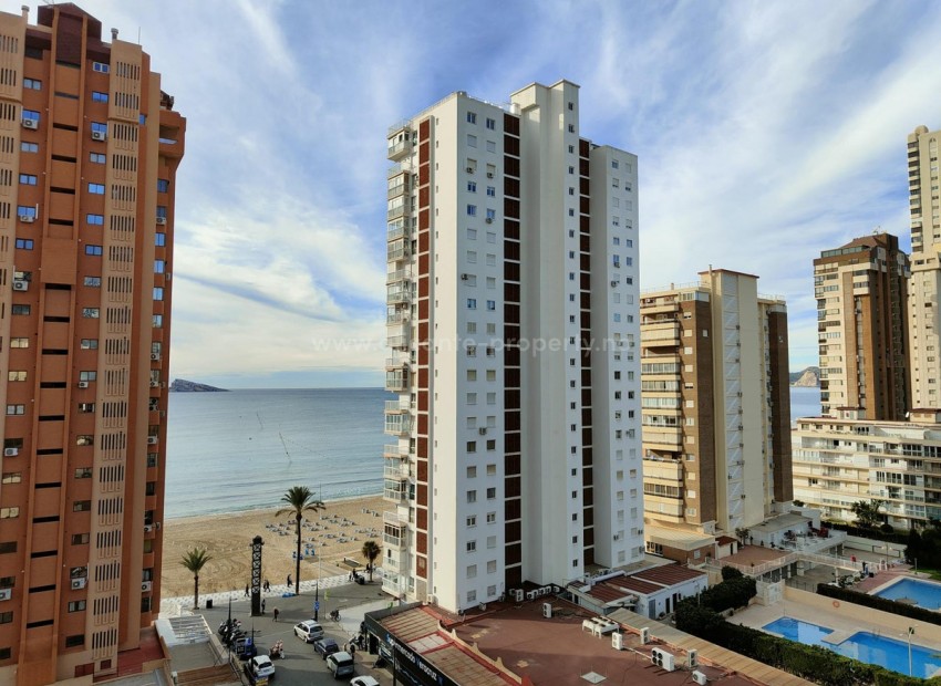 Leilighet / leilighet i Benidorm Centro