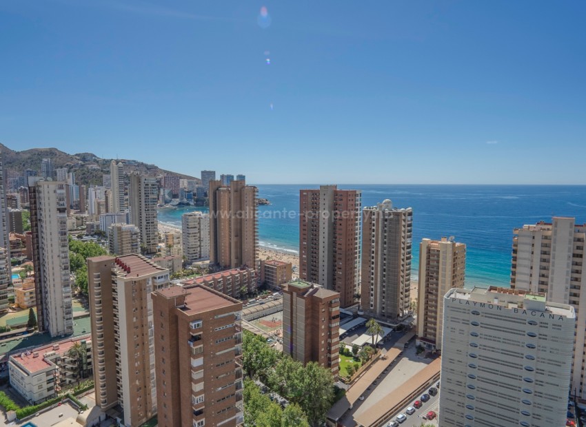 Leilighet / leilighet i Benidorm