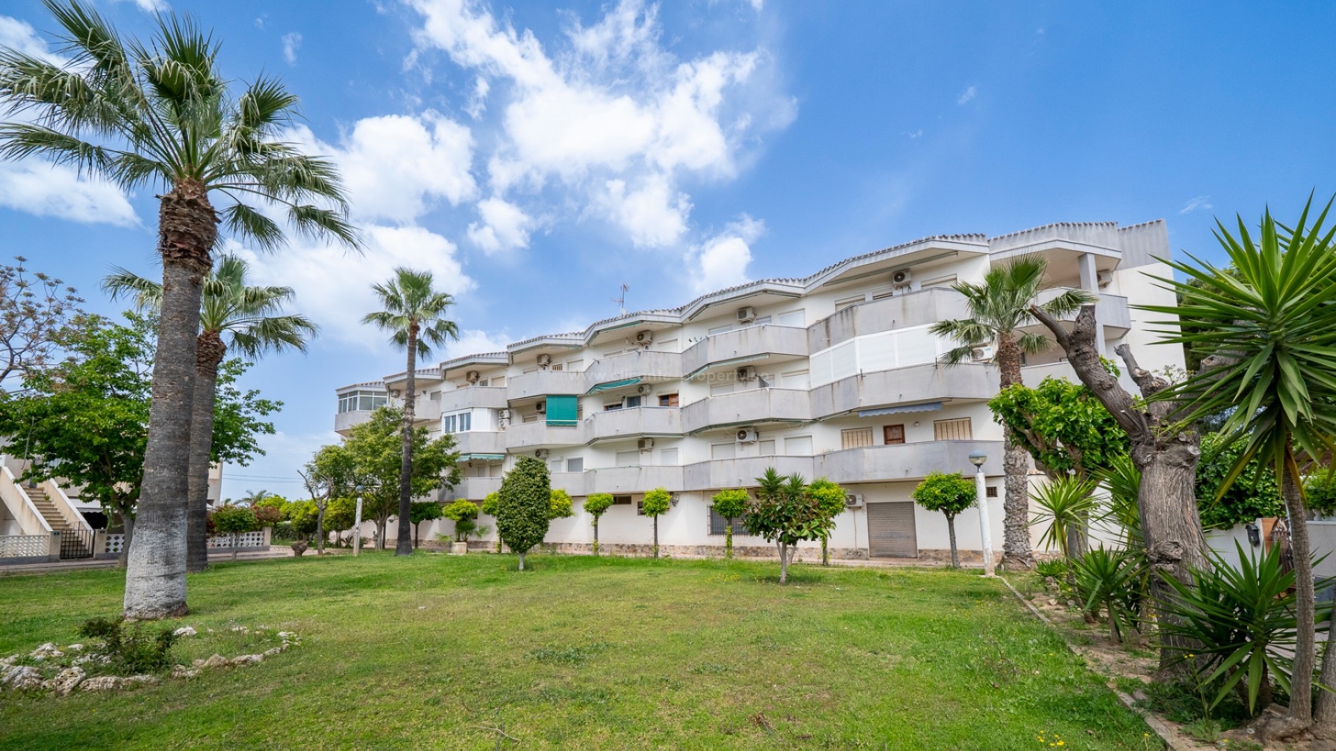 Leilighet / leilighet i Cabo Roig