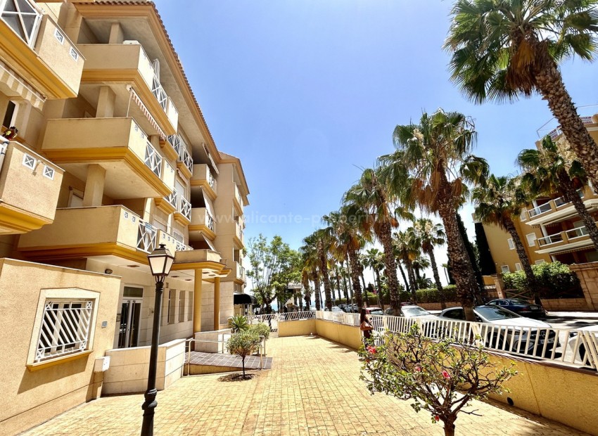 Leilighet / leilighet i Cabo Roig