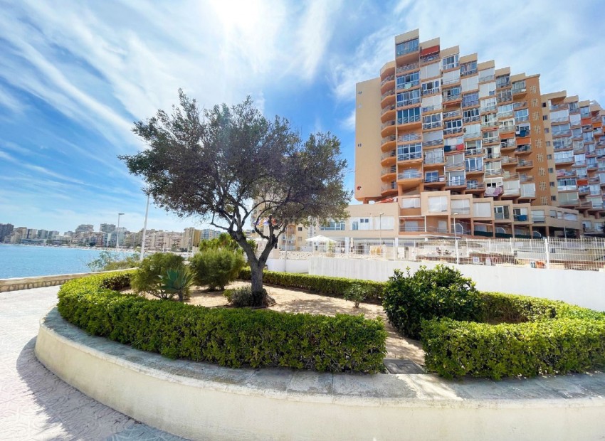 Leilighet / leilighet i Calpe Centro