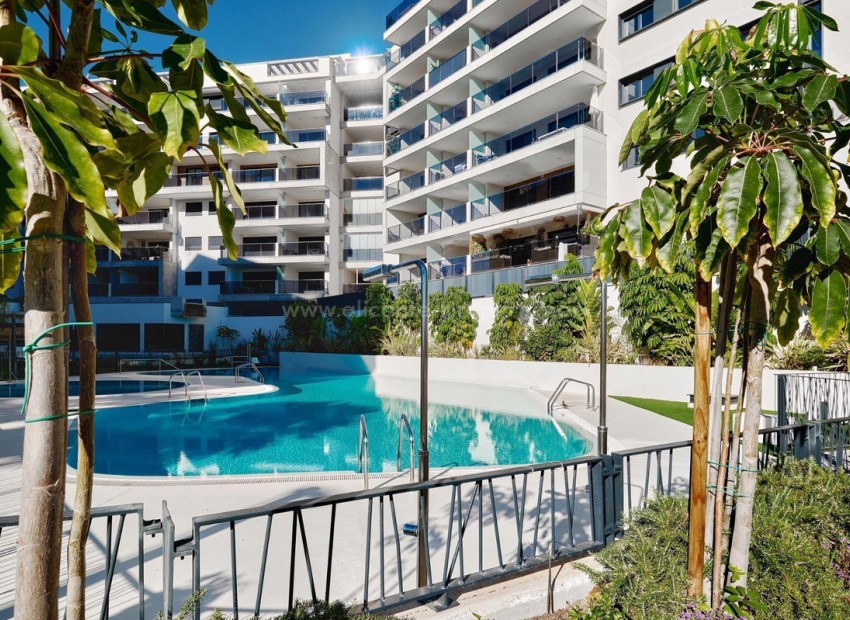 Leilighet / leilighet i Campoamor