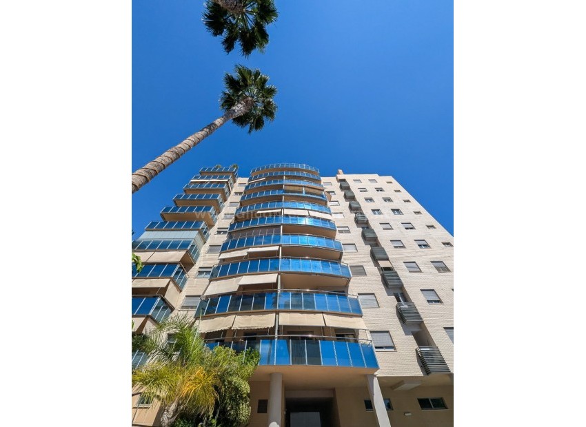 Leilighet / leilighet i El Campello