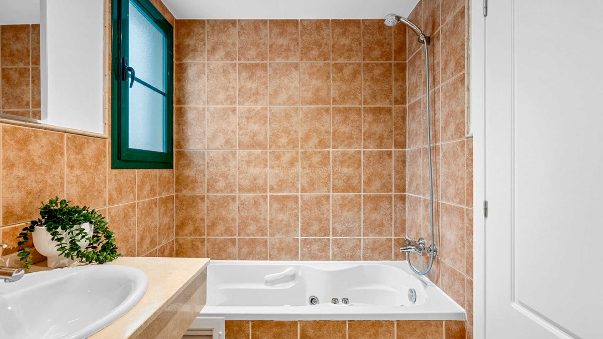 Leilighet / leilighet i Finestrat