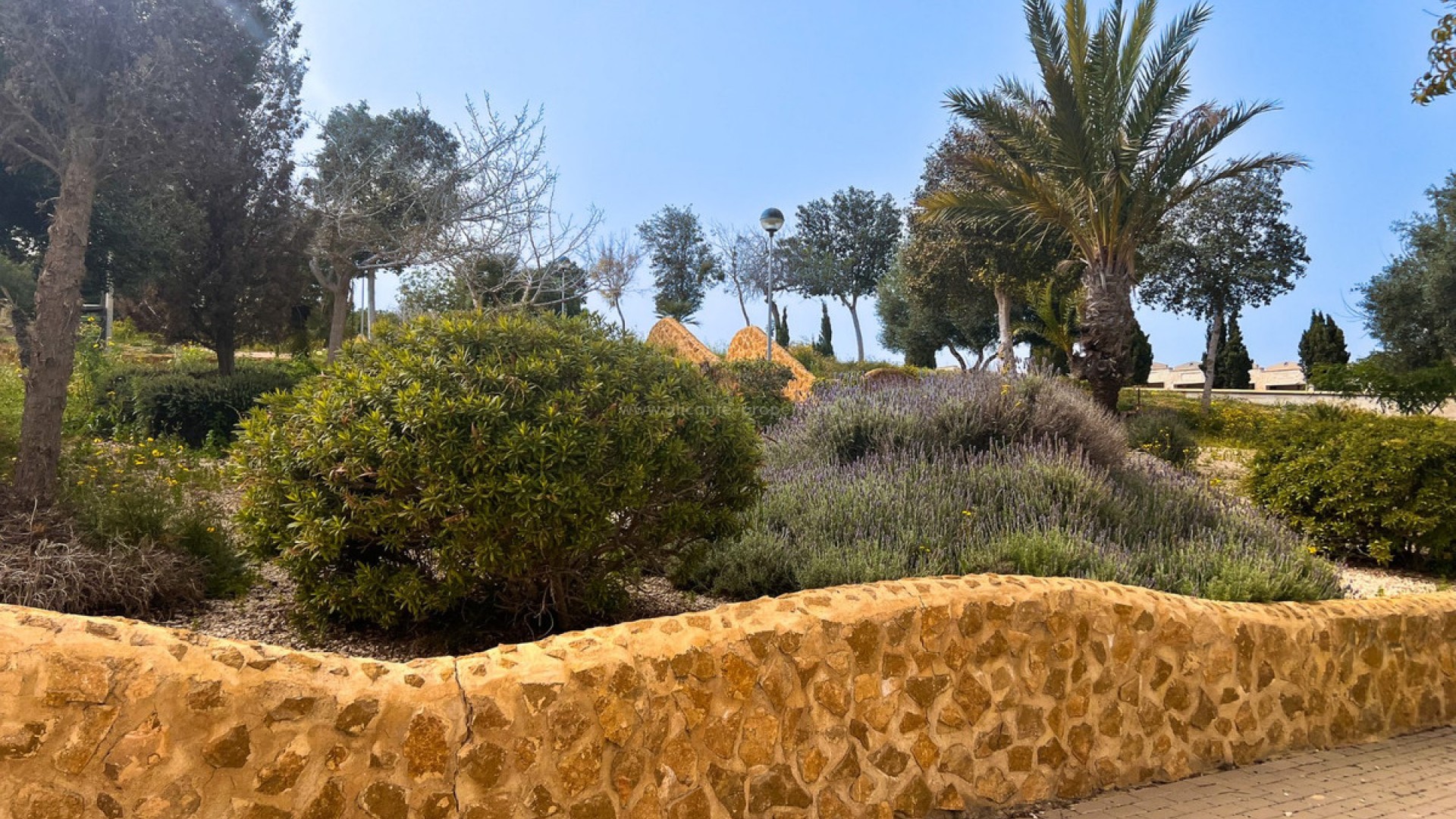 Leilighet / leilighet i Guardamar del Segura Centro