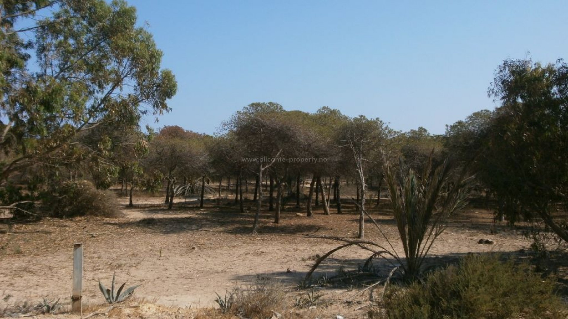 Leilighet / leilighet i Guardamar del Segura Centro