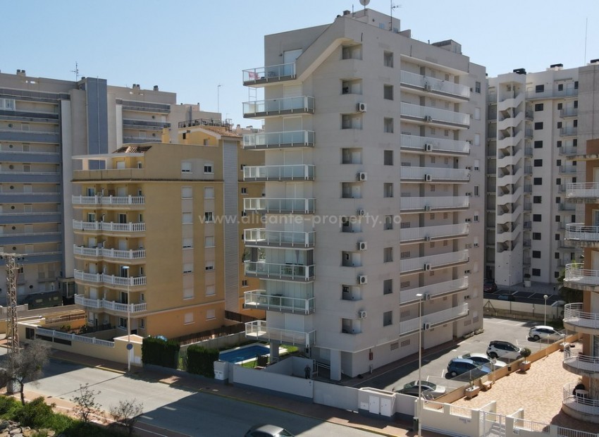 Leilighet / leilighet i Guardamar del Segura Centro