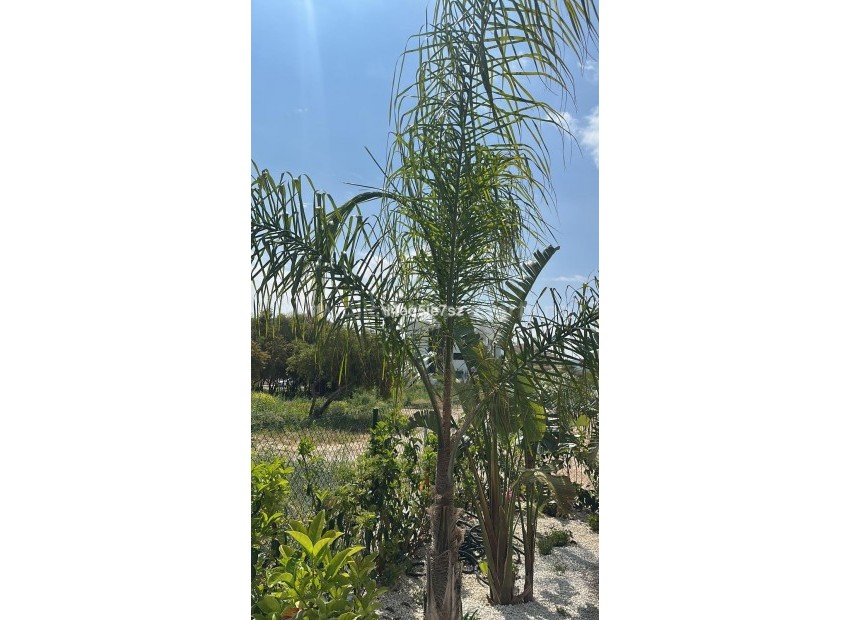 Leilighet / leilighet i Jávea - Xàbia Centro