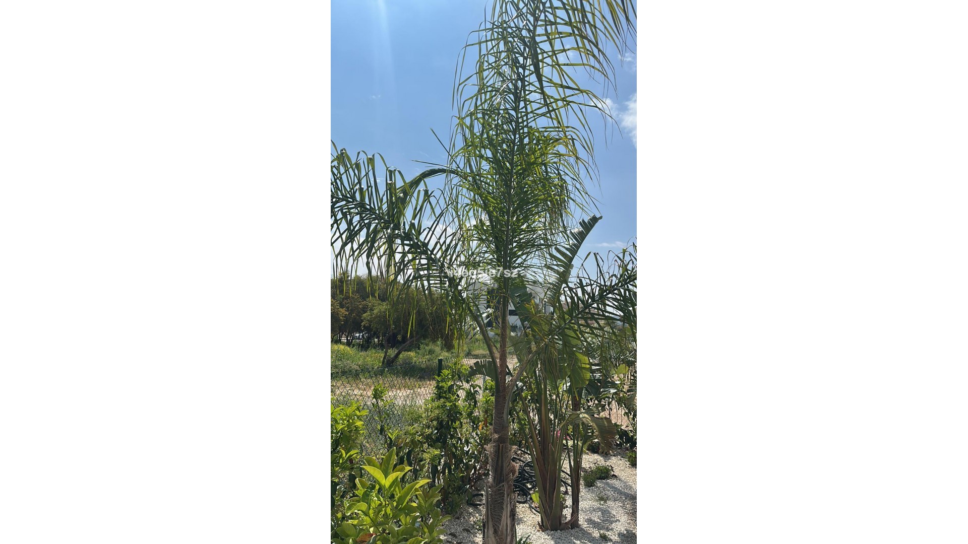 Leilighet / leilighet i Jávea - Xàbia Centro