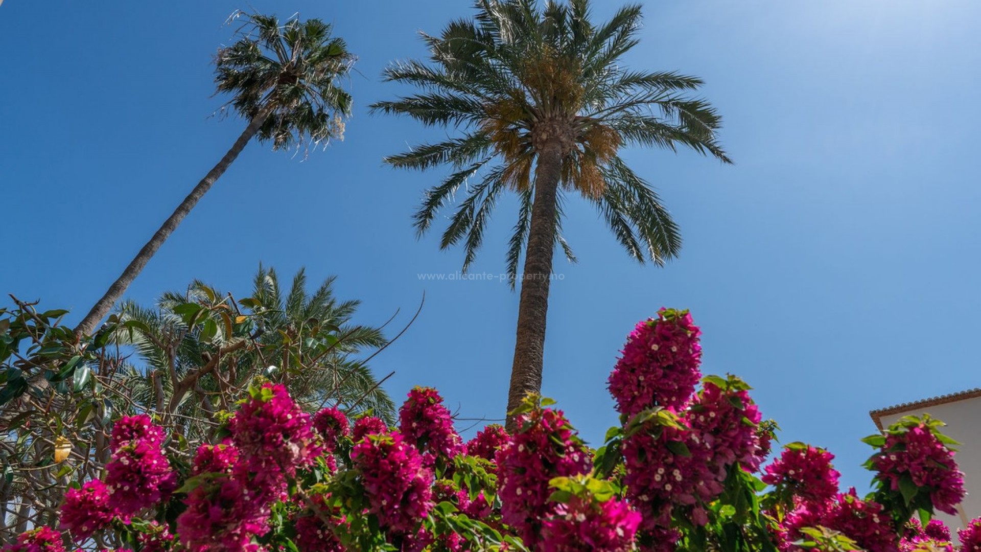 Leilighet / leilighet i Jávea - Xàbia Centro