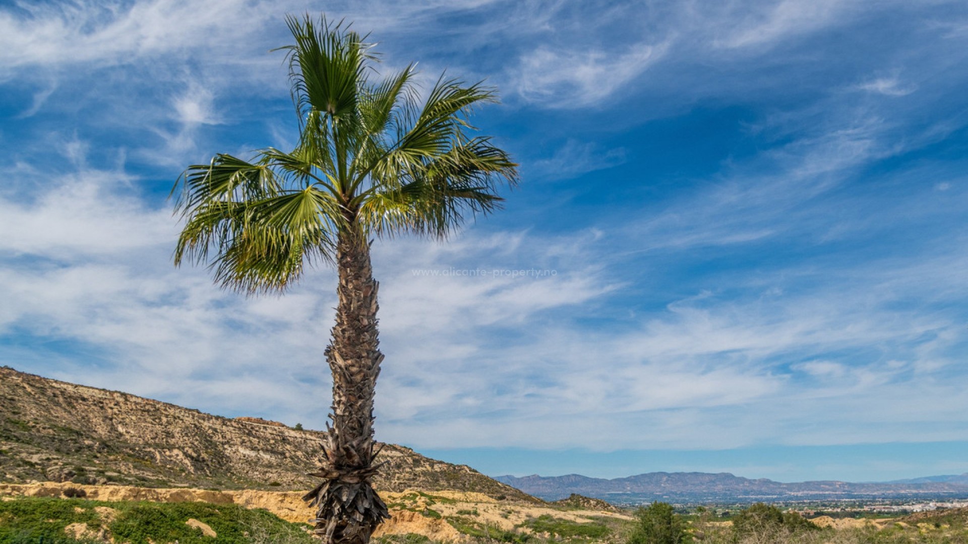 Leilighet / leilighet i La finca Golf