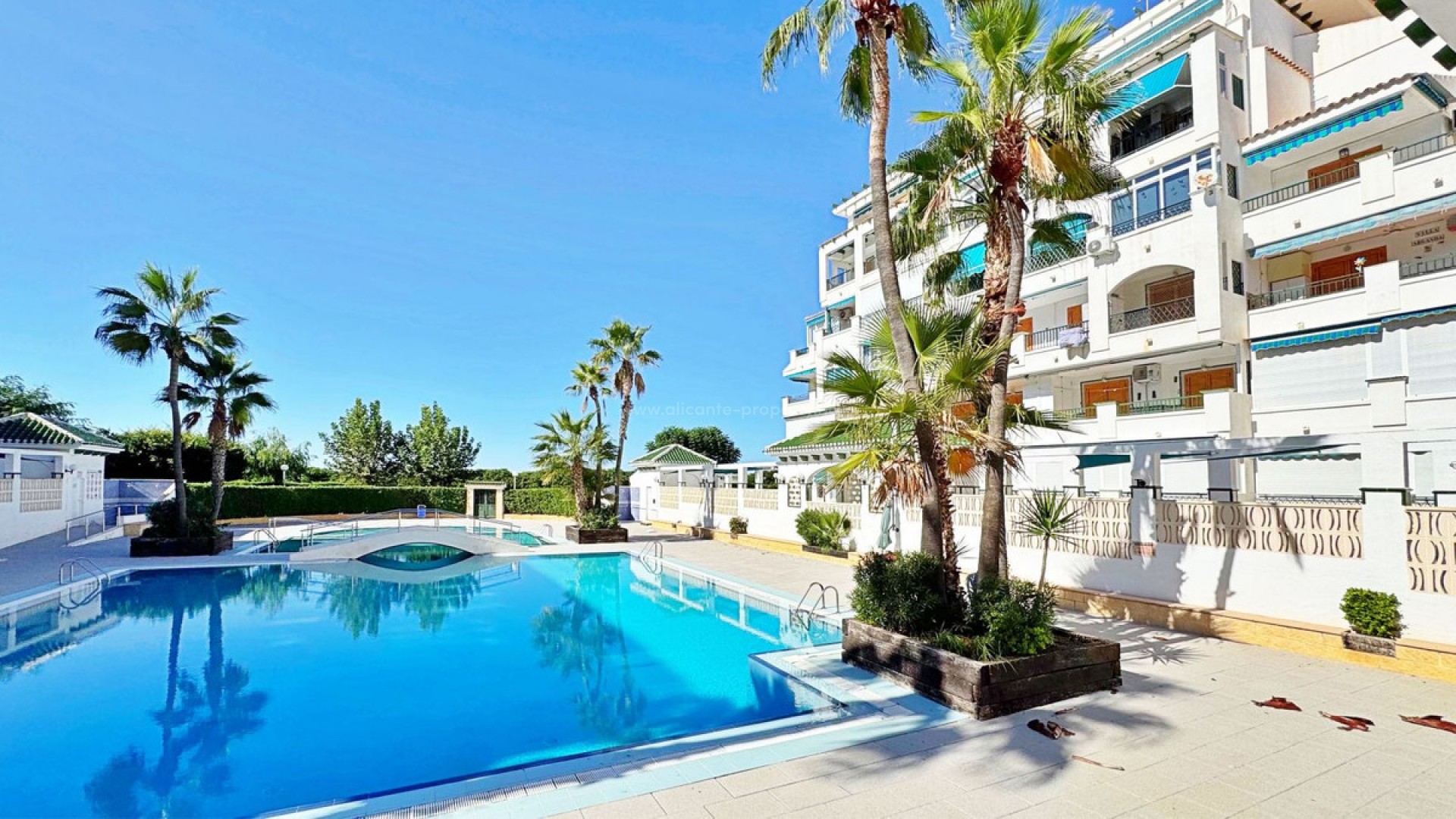 Leilighet / leilighet i La Mata