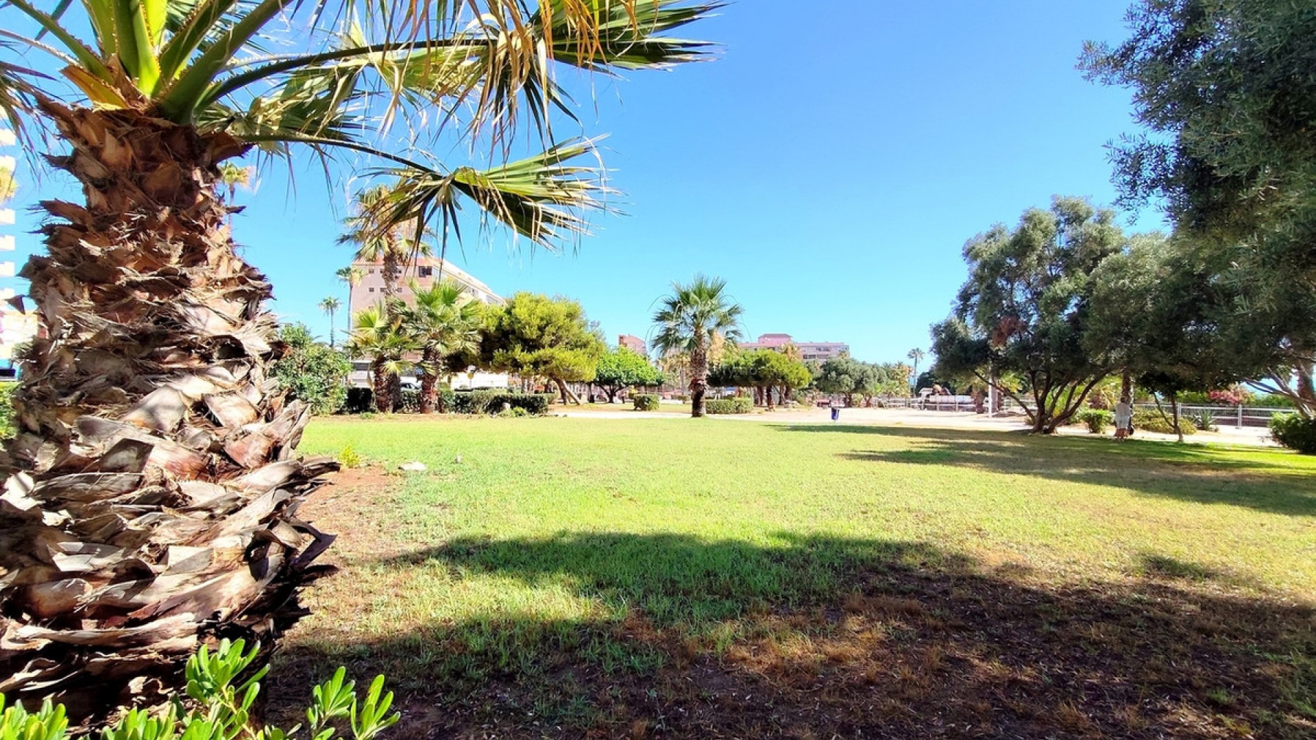 Leilighet / leilighet i La Mata