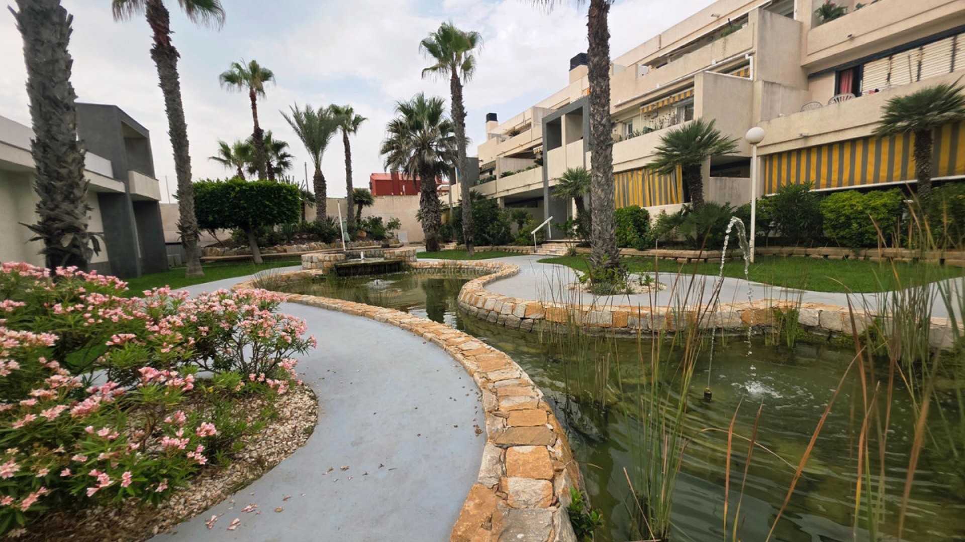Leilighet / leilighet i La Mata